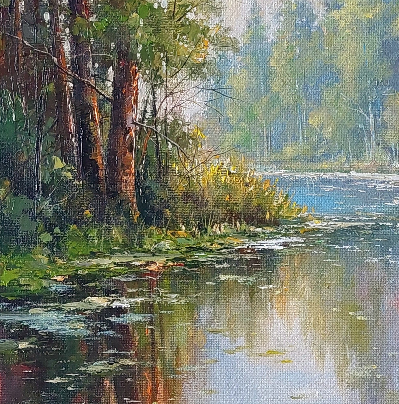 ,,TĂCEREA NUFERILOR''