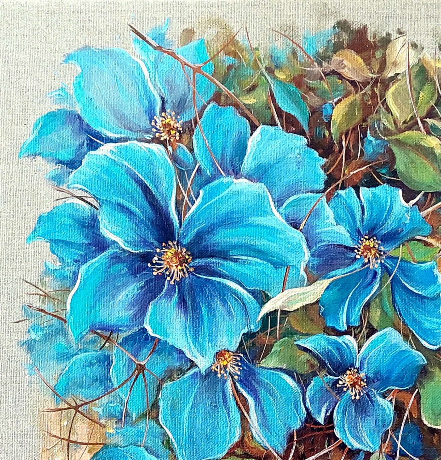 ,,CLEMATIS''
